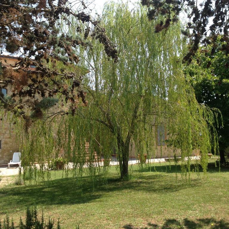 Teruzzi Country House 圣吉米纳诺 外观 照片
